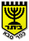 Beitar Kfar Saba Shlomi